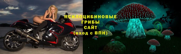 хмурый Михайлов