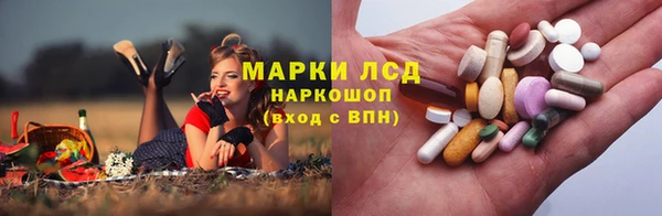 хмурый Вуктыл