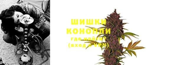 ПСИЛОЦИБИНОВЫЕ ГРИБЫ Михайловка