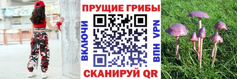 Псилоцибиновые грибы GOLDEN TEACHER  Поронайск 